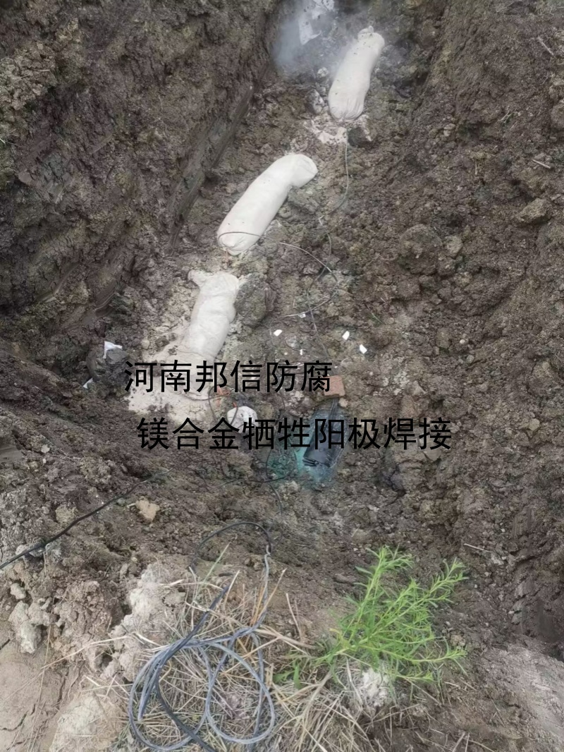 澳门传真正版