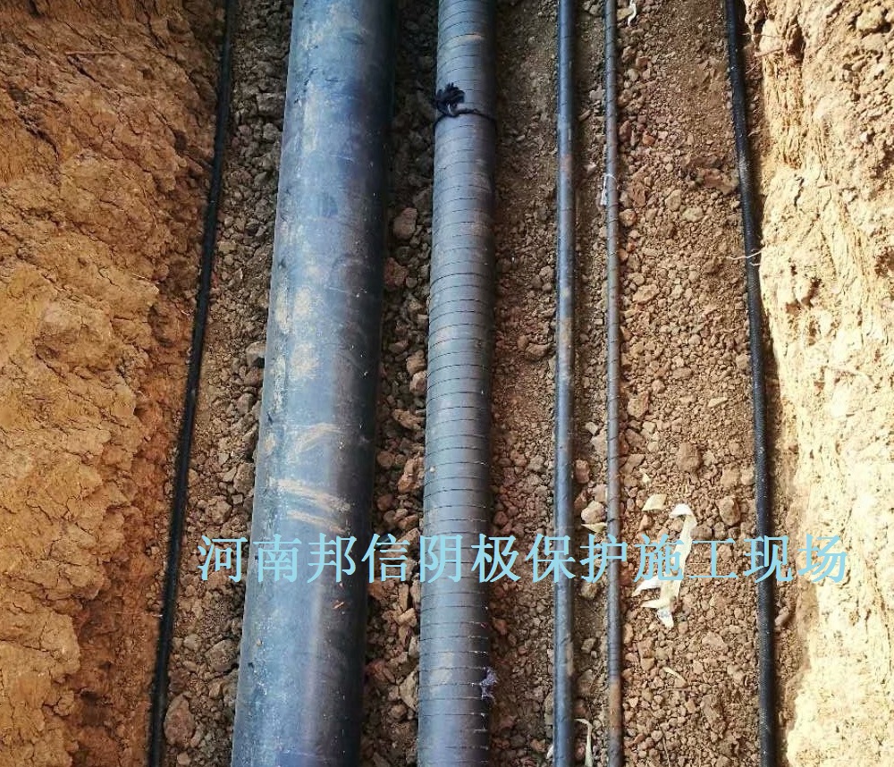 澳门传真正版